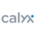 Calyx | Software development company